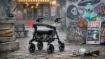 Rollatorkultur: Mythen, Szene & öffentliche Sicht